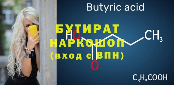 гашик Дмитров