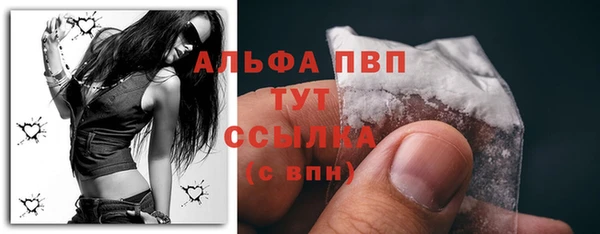 гашик Дмитров