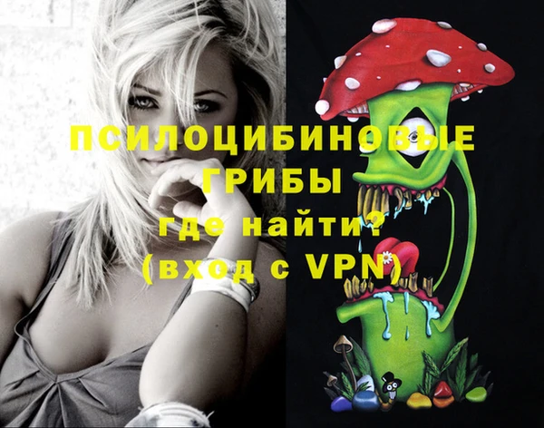 гашик Дмитров