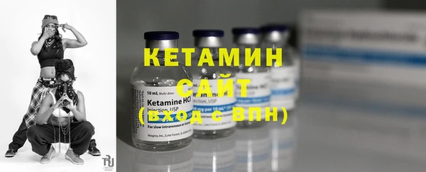 гашик Дмитров