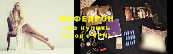 гашик Дмитров