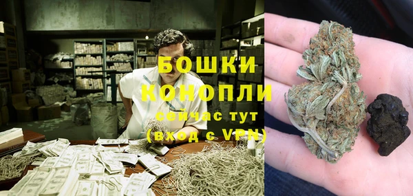 гашик Дмитров