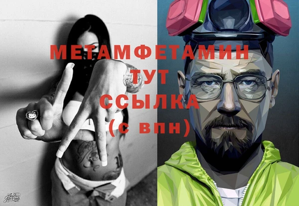 гашик Дмитров