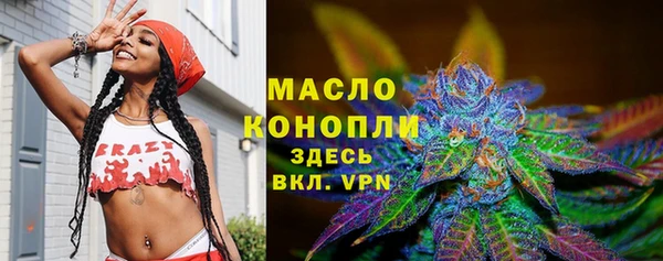 гашик Дмитров