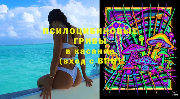 таблы Дмитриев
