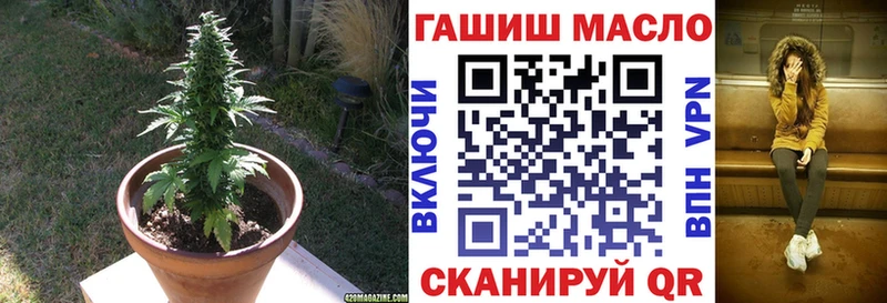 блэк спрут ССЫЛКА  наркотики  Чебоксары  ТГК гашишное масло 